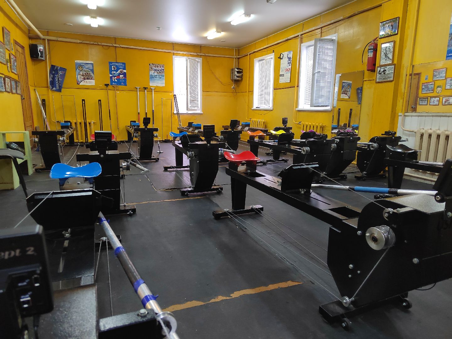 Пушкино, спорт