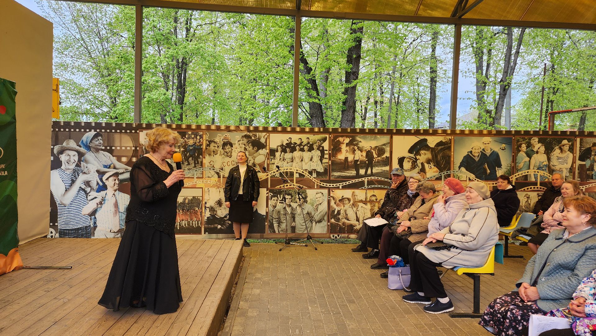 Егорьевск, Подмосковье, Московская область, день победы, Пегас,