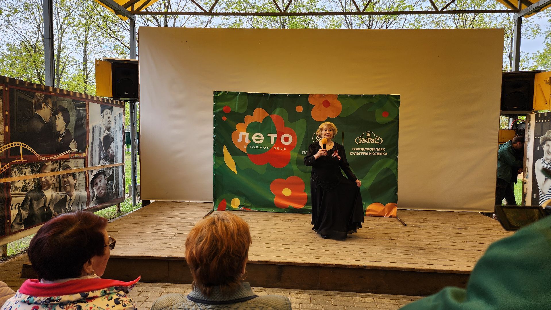 Егорьевск, Подмосковье, Московская область, день победы, Пегас,