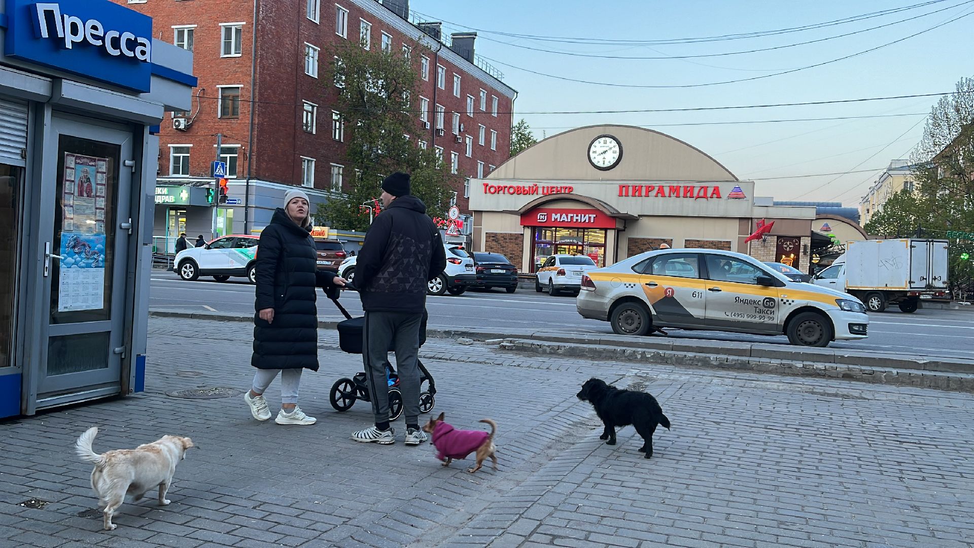 9 мая, день победы, 9 мая день победы, день победы в балашихе, бессмертный полк, 79 лет победы, 79-я годовщина победы в вов,