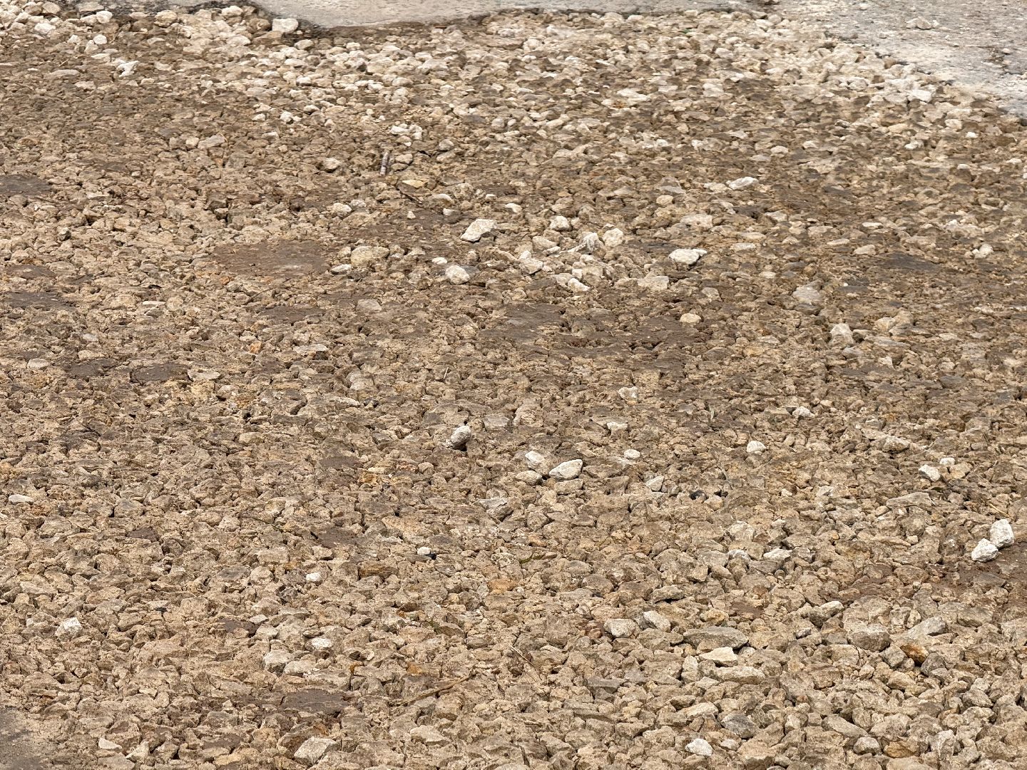 шаховская, дороги, ремонт дорог,