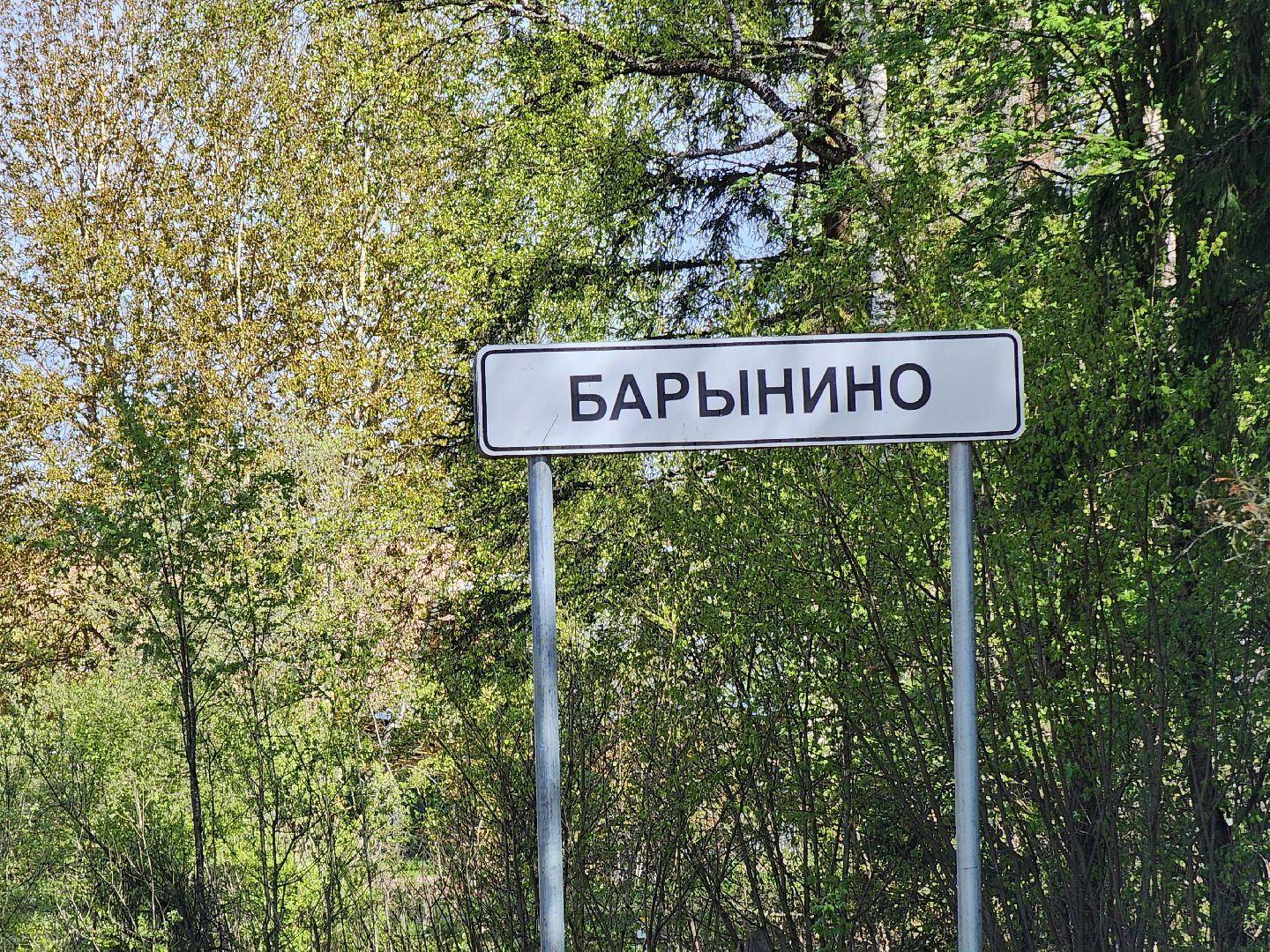 прокуратура, министерство экологии, штраф, экология, руза, рузский городской округ, московская область,