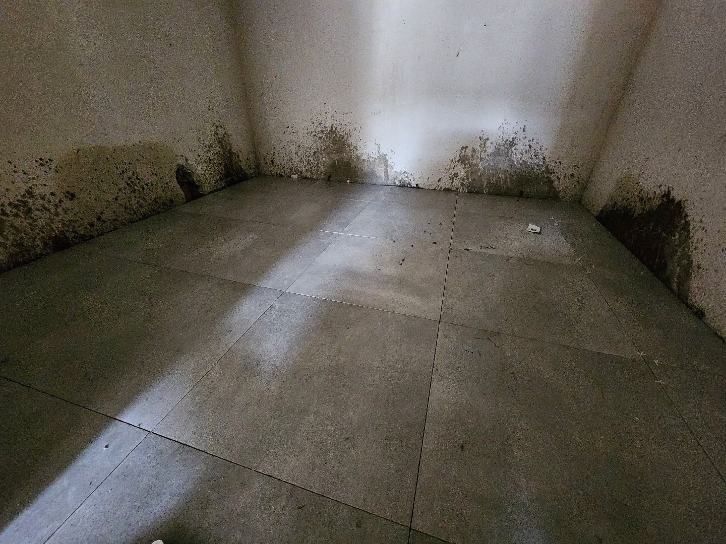 строительство, капитальный ремонт, капитальный ремонт детского сада, руза, рузский городской округ, московская область, подмосковье,