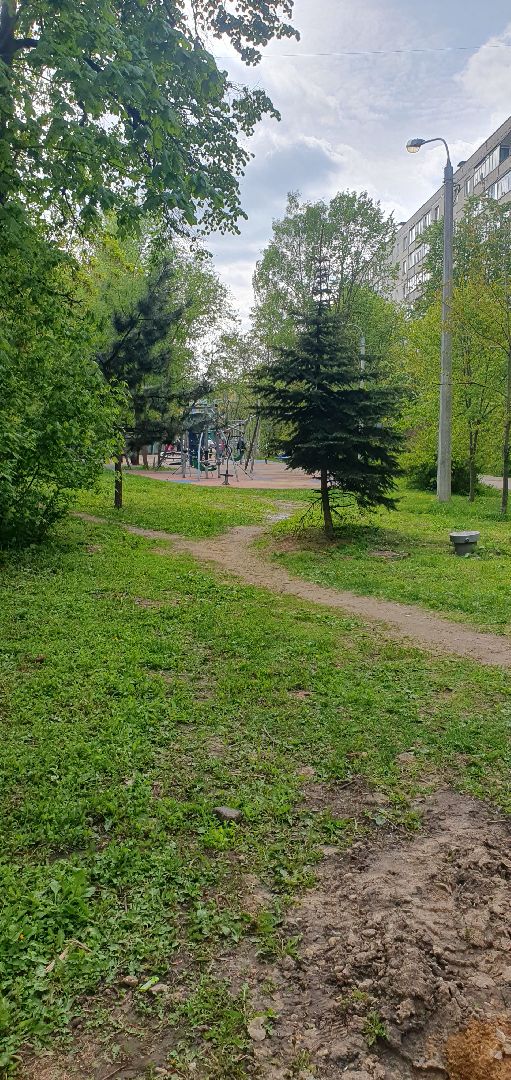 пешеходные коммуникации, мытищи,