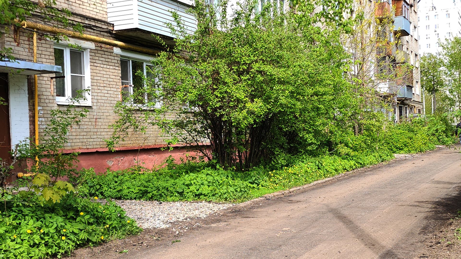 электросталь, мой город, жители города, благоустройство, благоустройство 2024, благоустройство дворов, укладка асфальта, асфальтирование дорог,