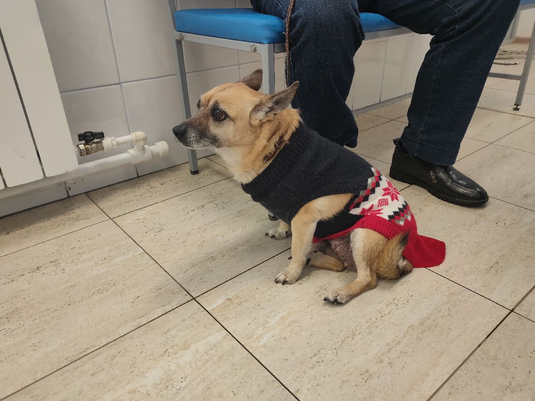 Раменское, общество