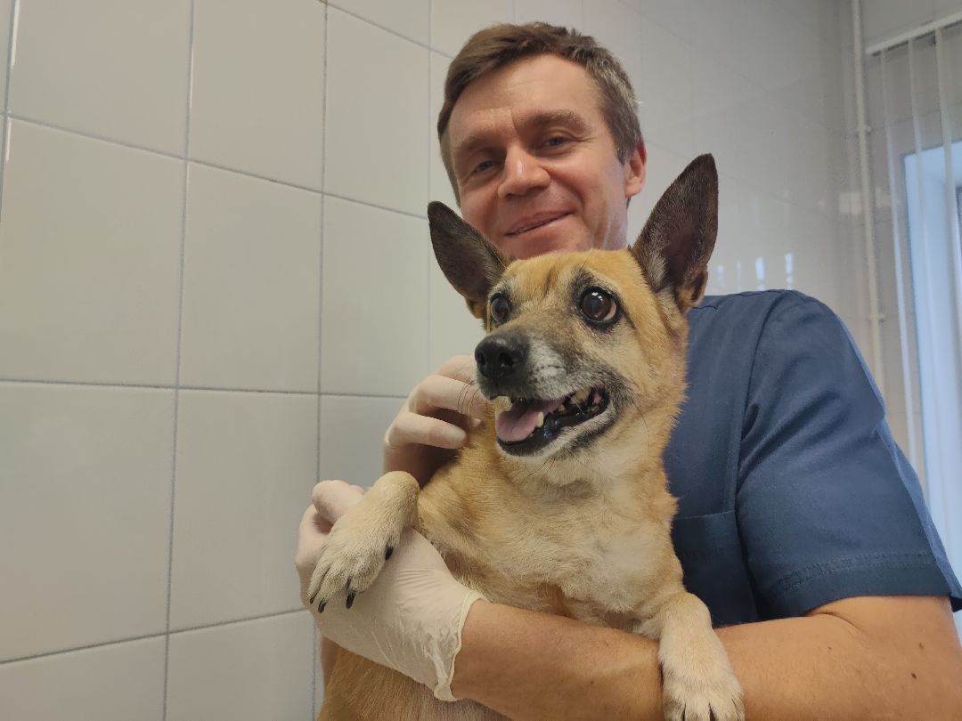 Раменское, общество