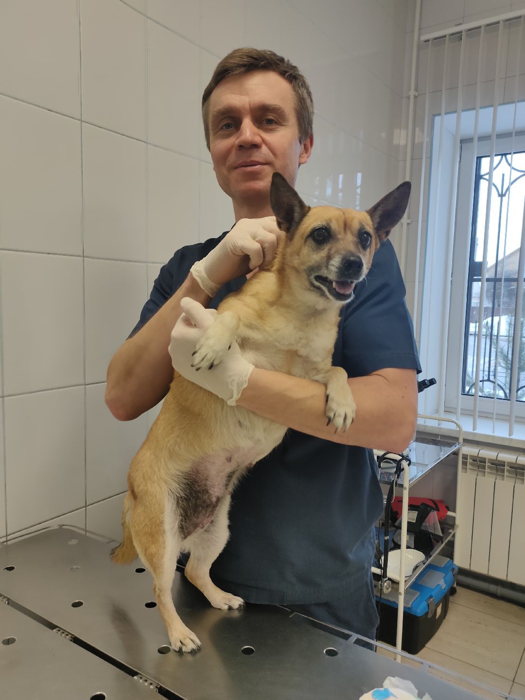 Раменское, общество