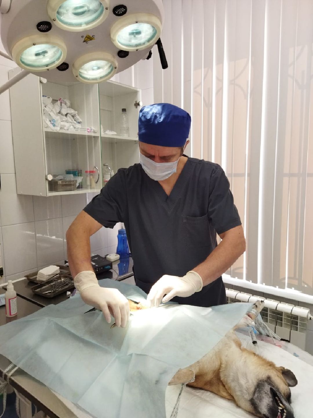 Раменское, общество