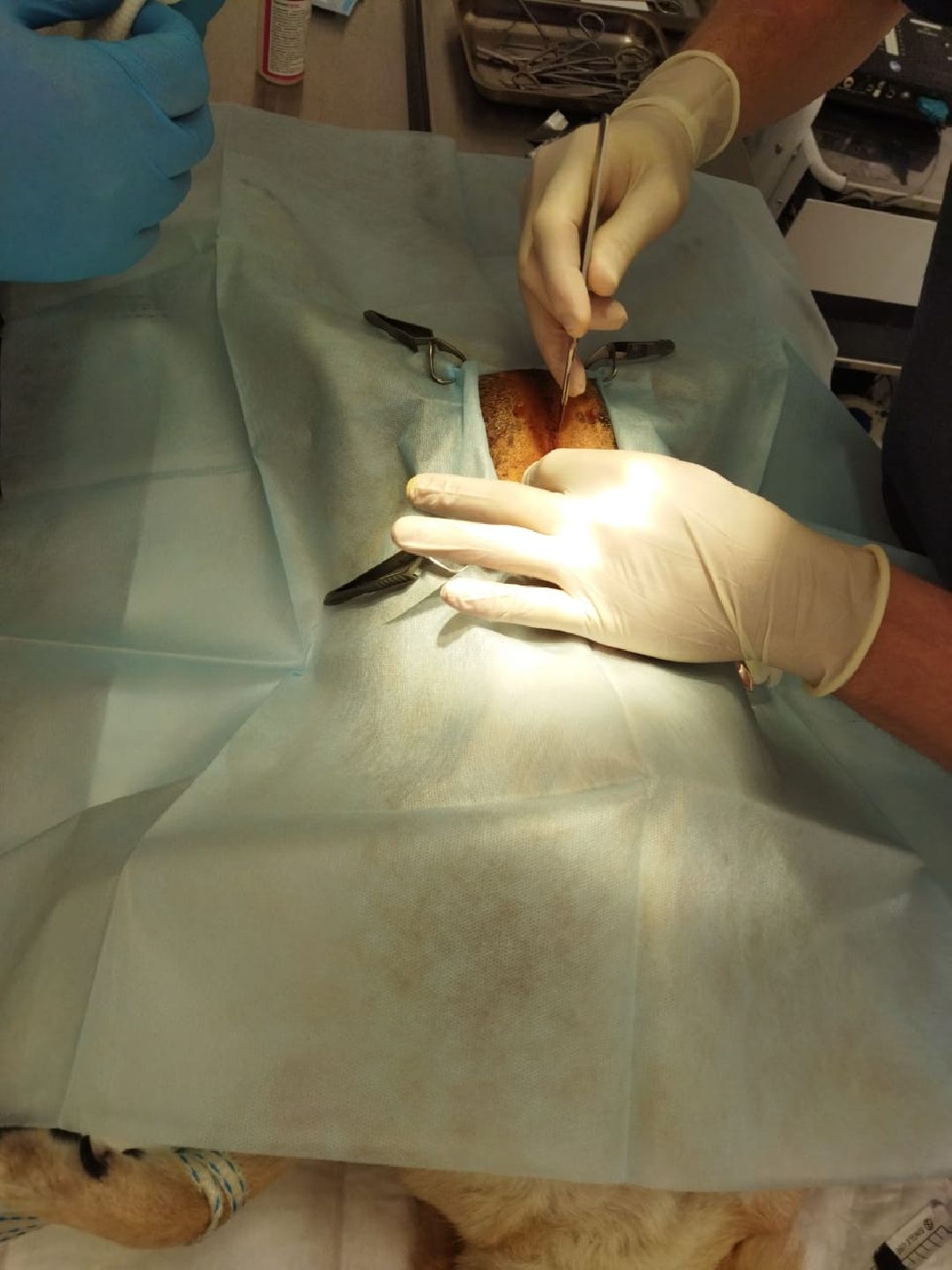 Раменское, общество