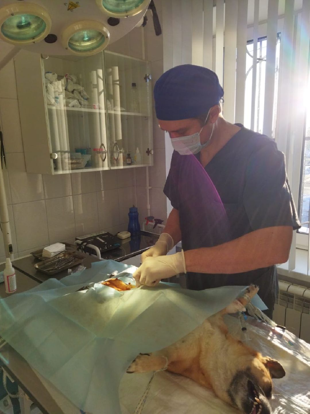 Раменское, общество