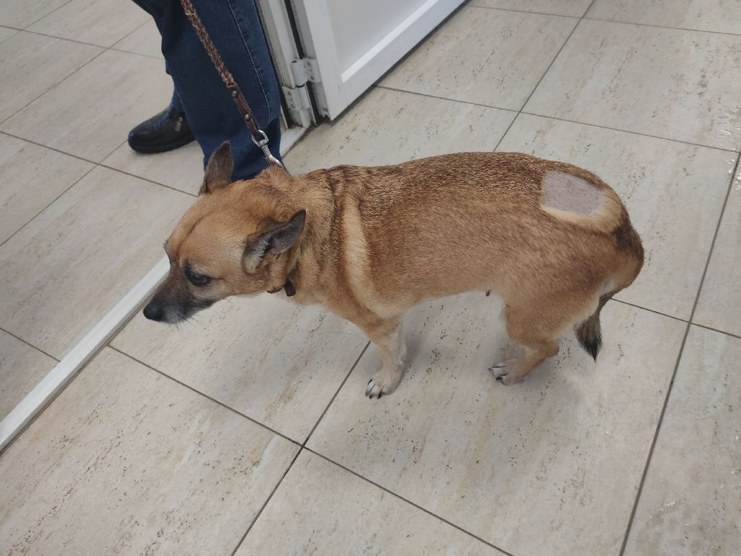 Раменское, общество