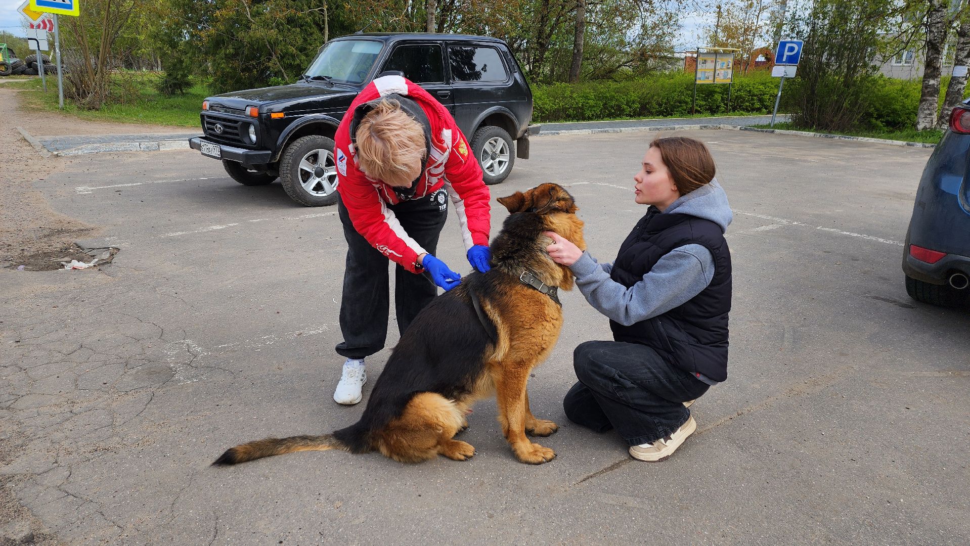 солнечногорск, Смирновка, животные, бешенство, вакцинация от бешенства,