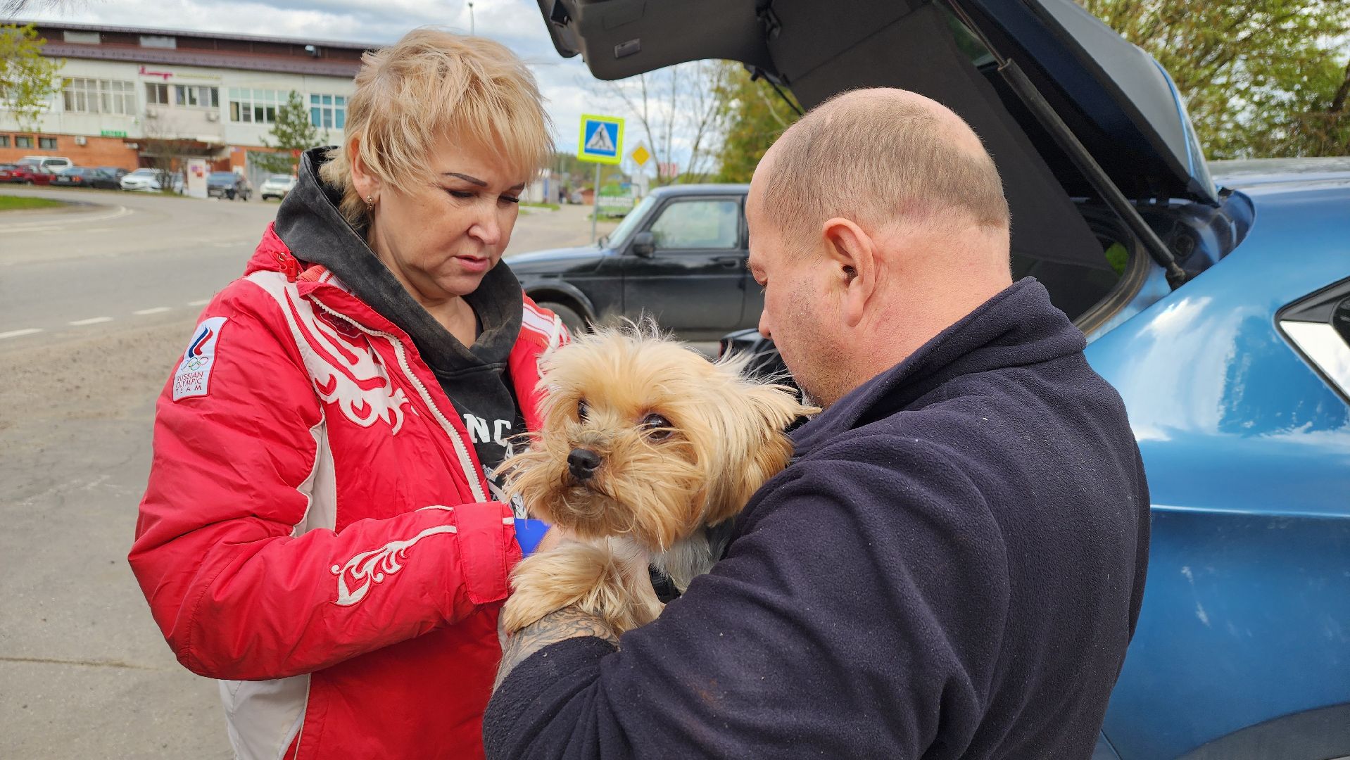 солнечногорск, Смирновка, животные, бешенство, вакцинация от бешенства,