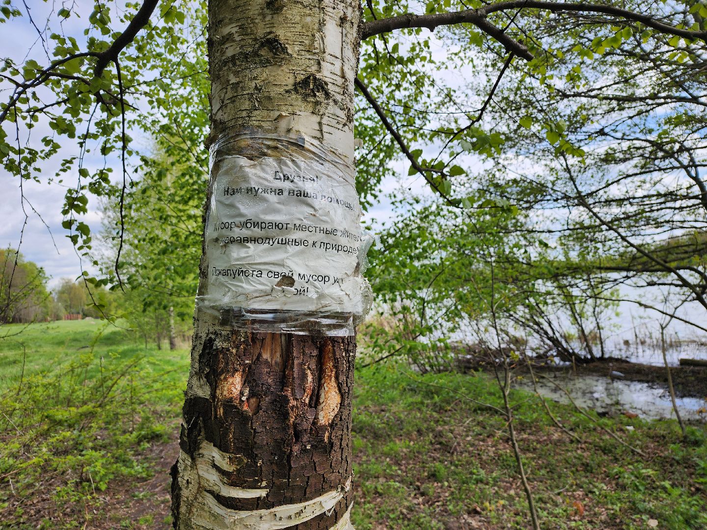 пикниковые зоны, зоны отдыха, Добродел, Бисерово, Богородский городской округ,