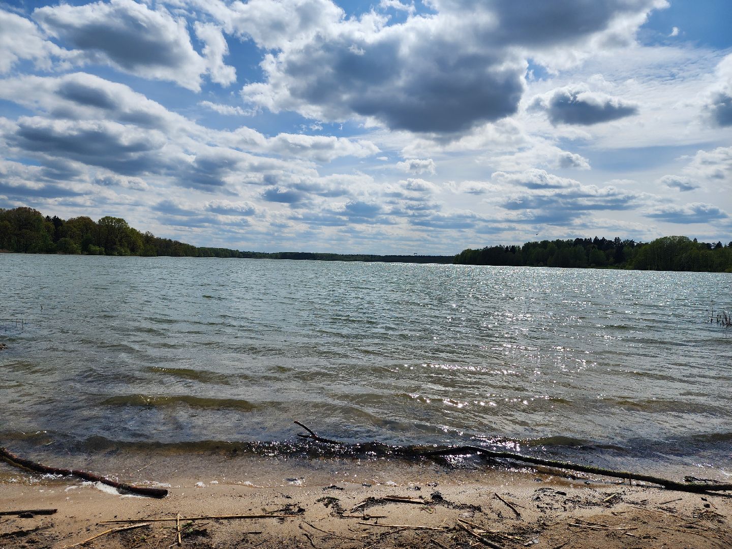 пикниковые зоны, зоны отдыха, Добродел, Бисерово, Богородский городской округ,