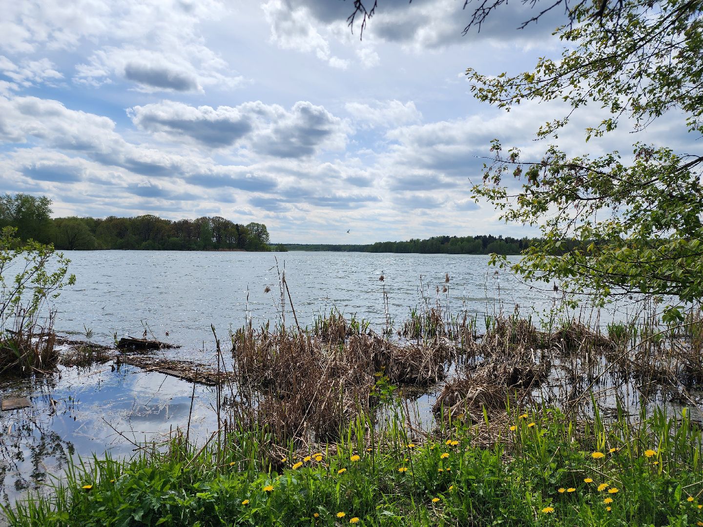 пикниковые зоны, зоны отдыха, Добродел, Бисерово, Богородский городской округ,