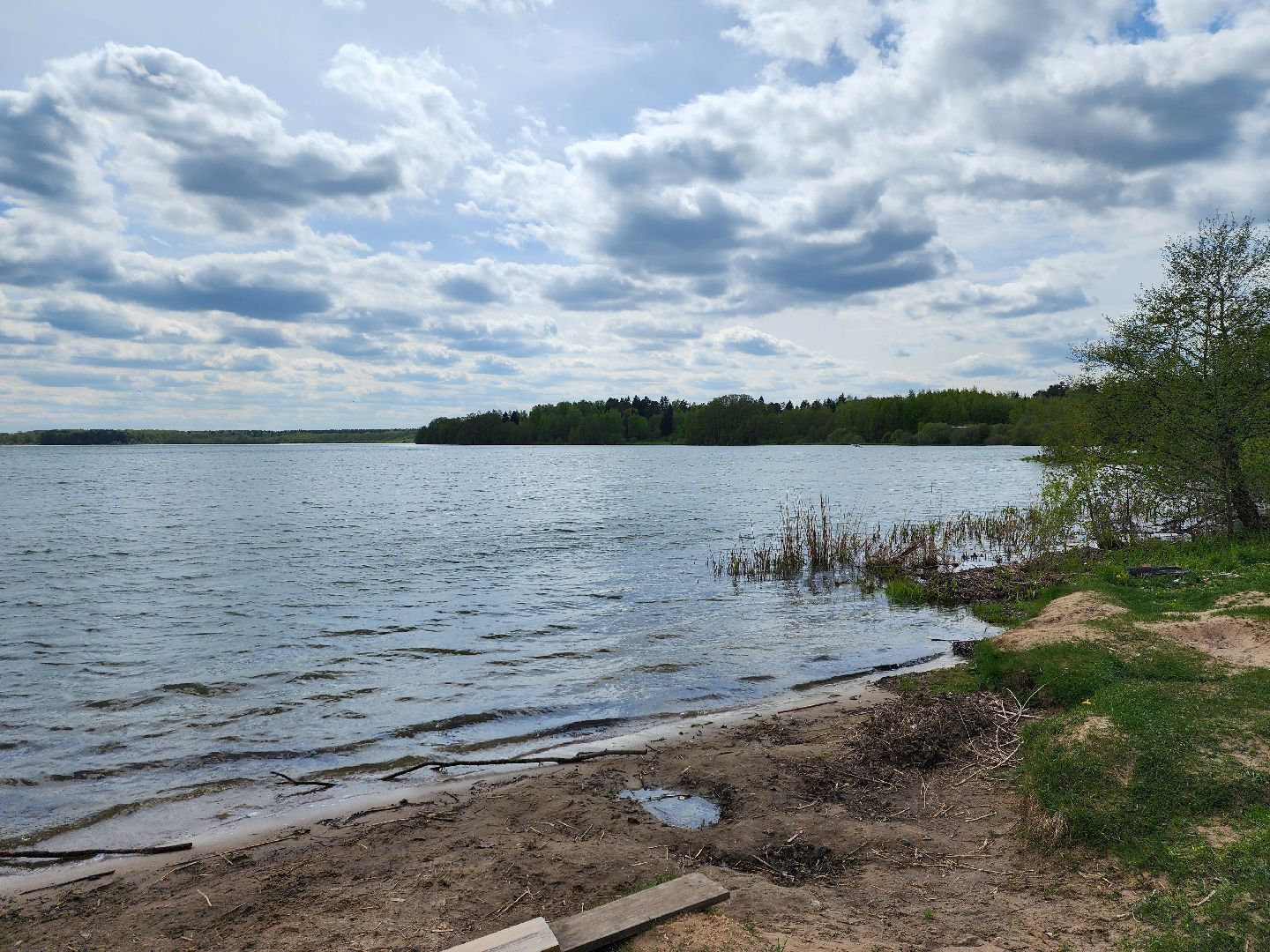 пикниковые зоны, зоны отдыха, Добродел, Бисерово, Богородский городской округ,