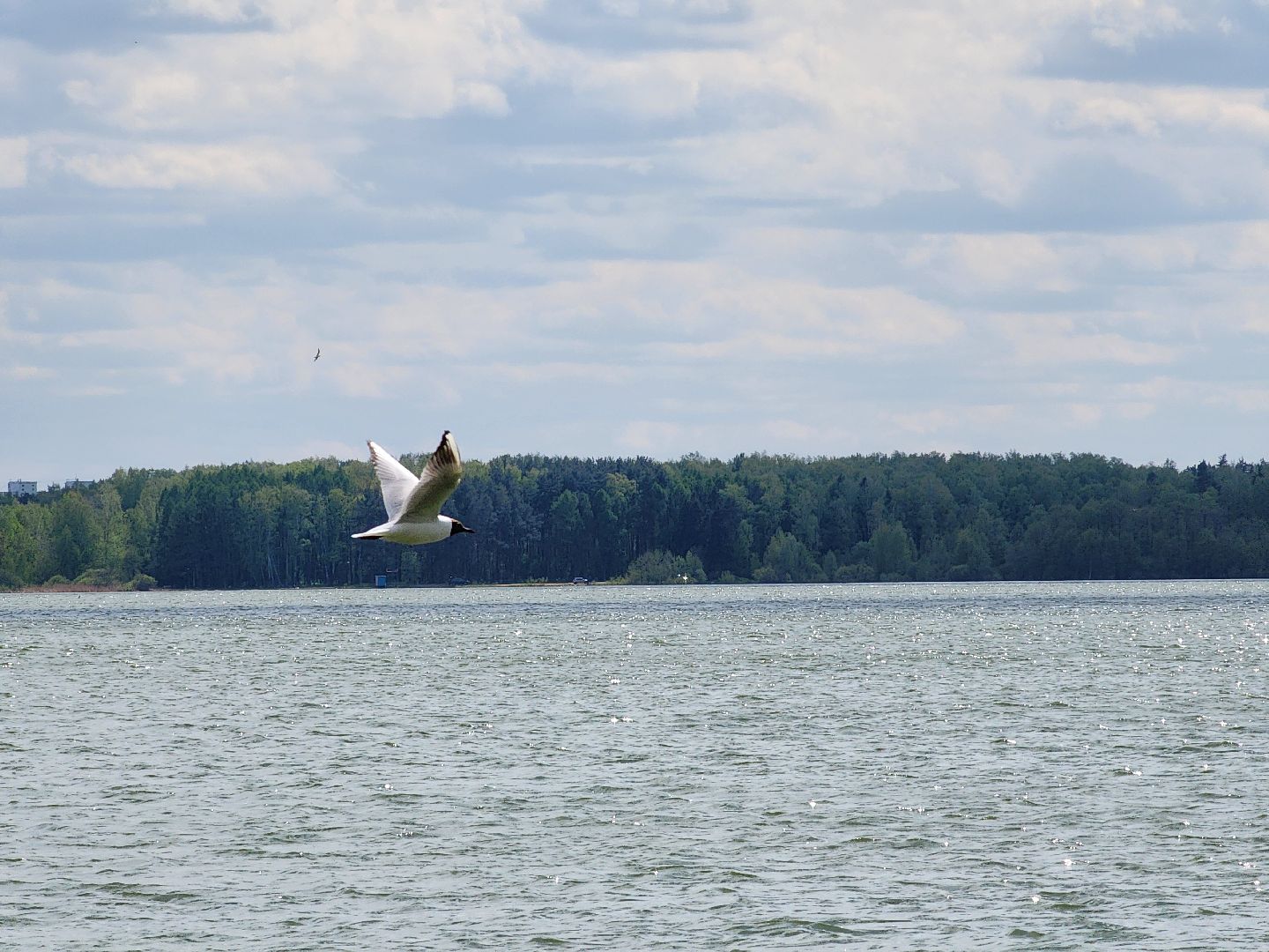 пикниковые зоны, зоны отдыха, Добродел, Бисерово, Богородский городской округ,