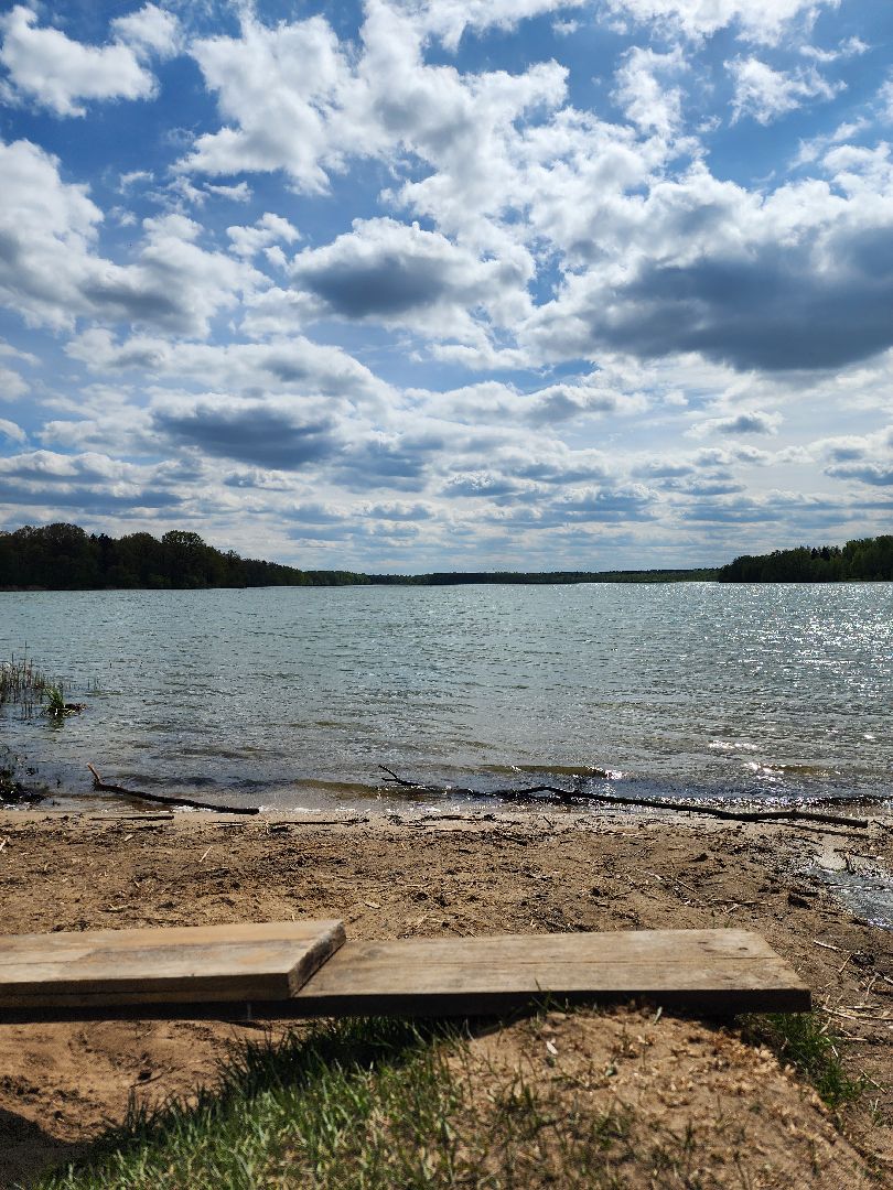 пикниковые зоны, зоны отдыха, Добродел, Бисерово, Богородский городской округ,