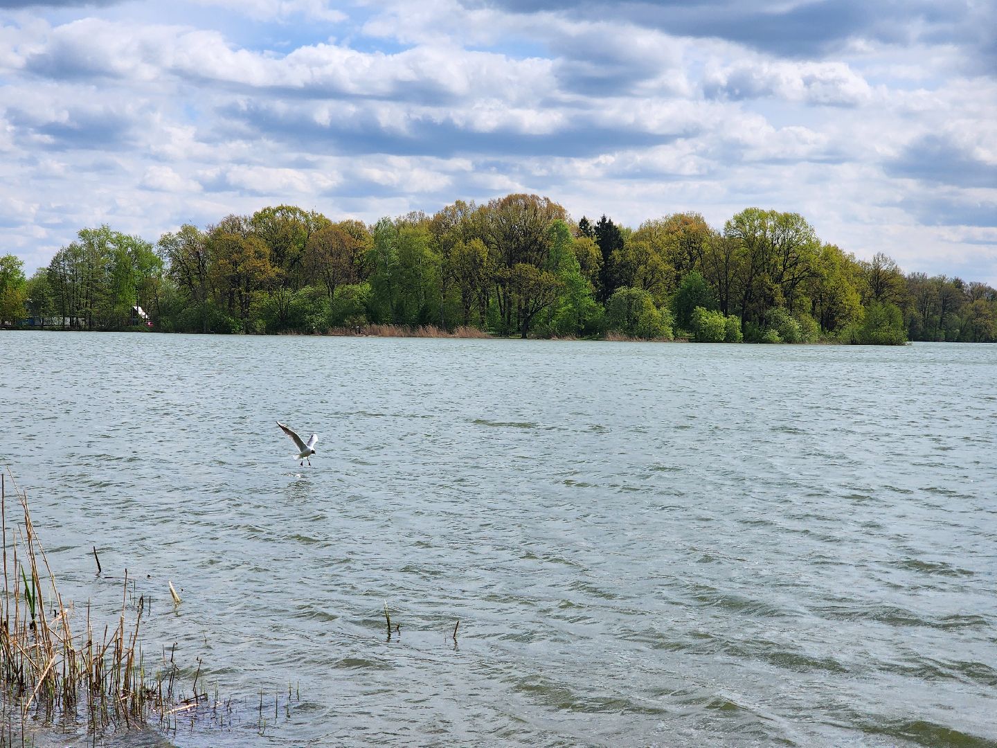 пикниковые зоны, зоны отдыха, Добродел, Бисерово, Богородский городской округ,