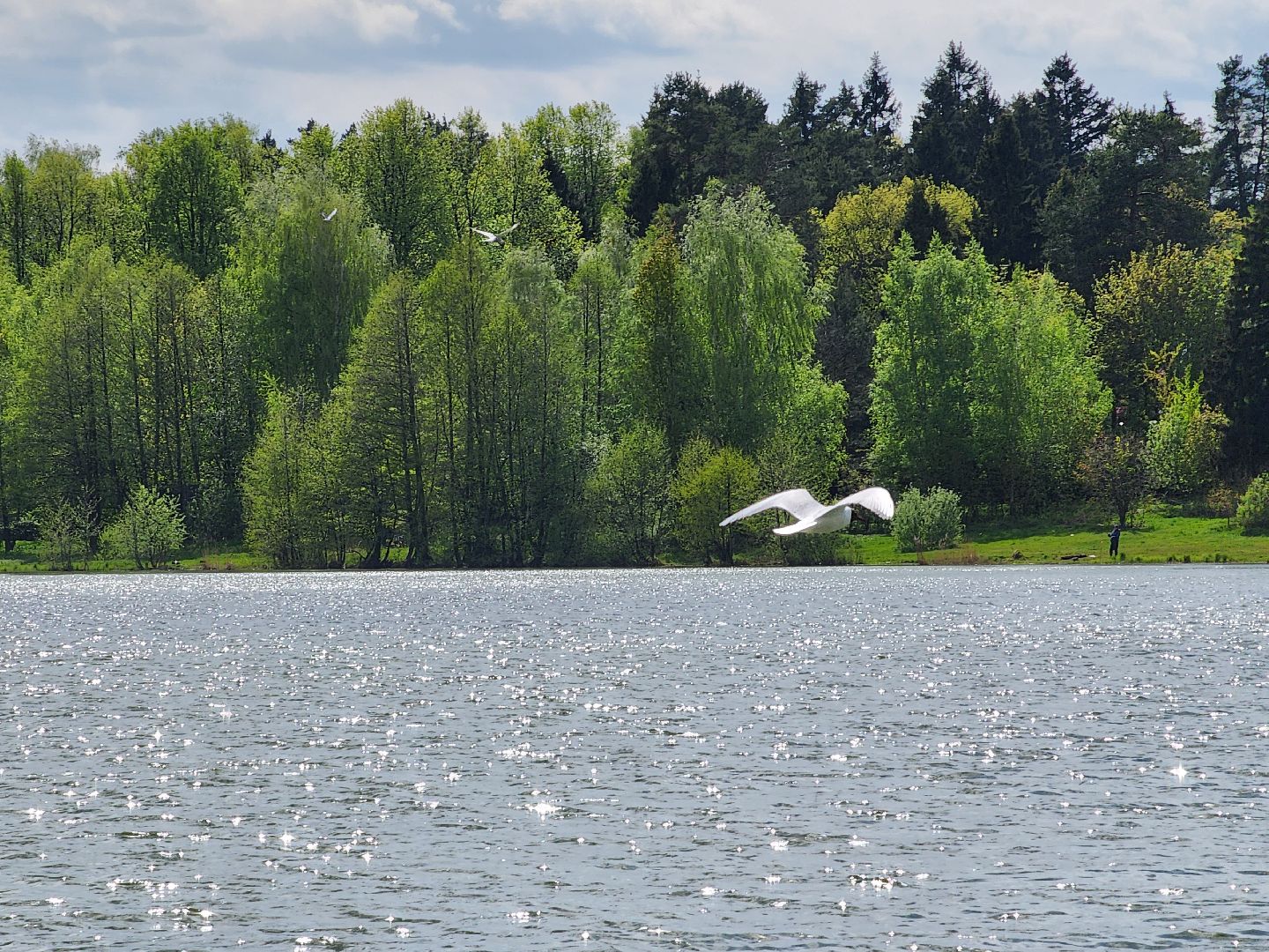 пикниковые зоны, зоны отдыха, Добродел, Бисерово, Богородский городской округ,