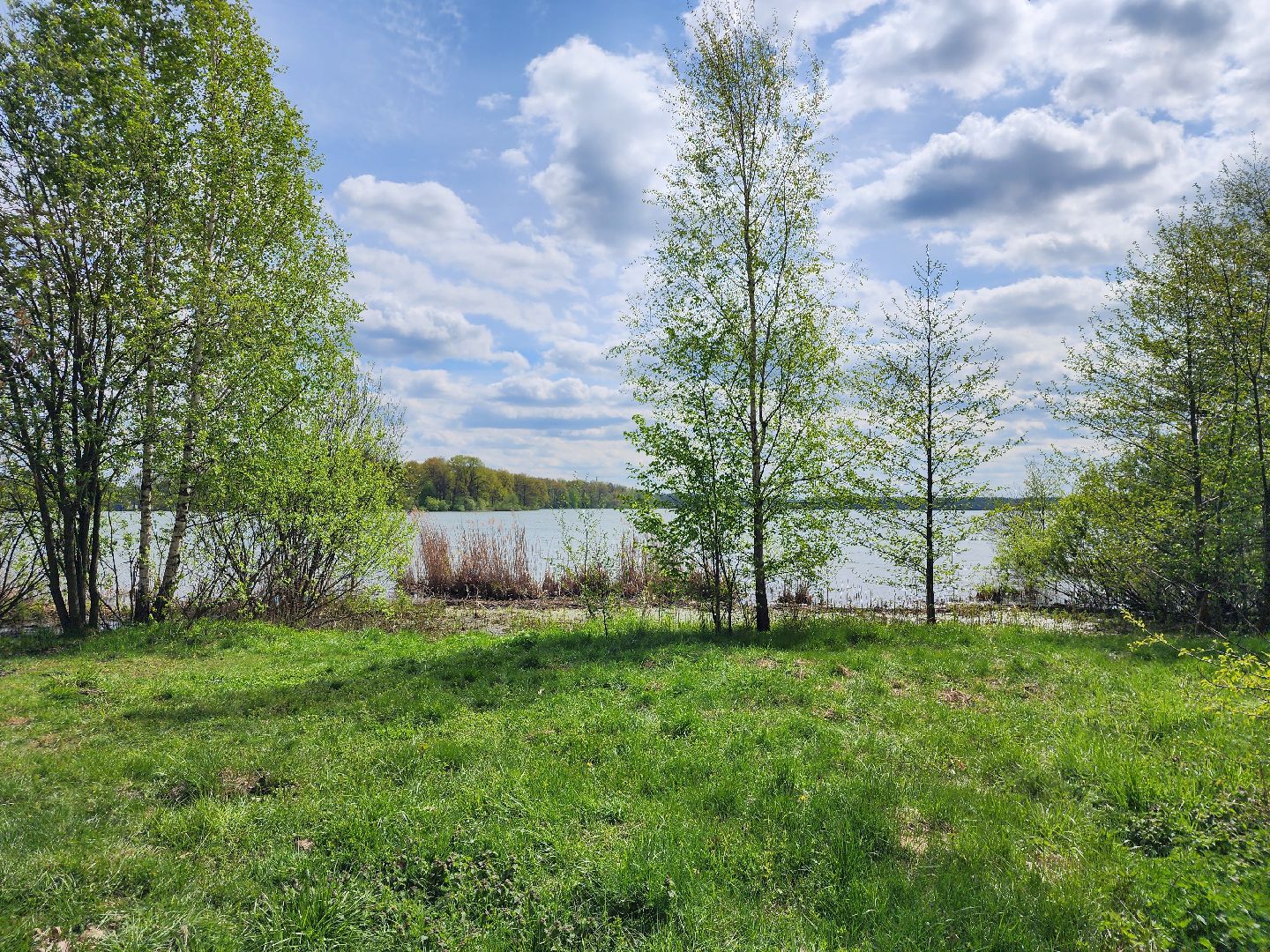 пикниковые зоны, зоны отдыха, Добродел, Бисерово, Богородский городской округ,