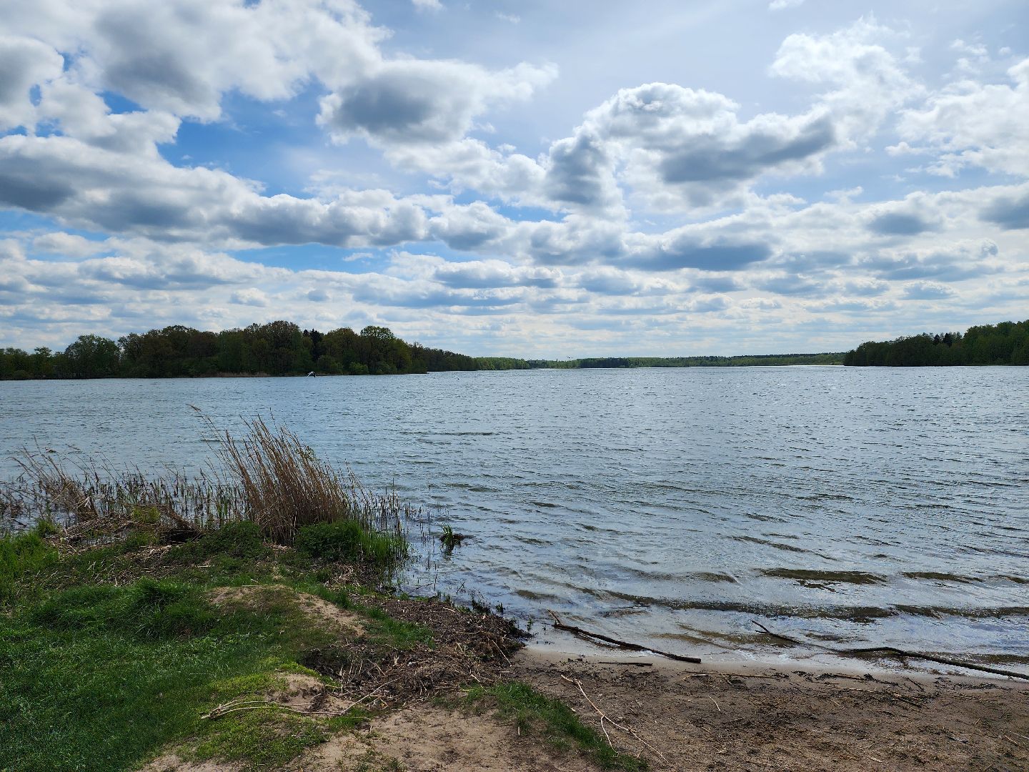 пикниковые зоны, зоны отдыха, Добродел, Бисерово, Богородский городской округ,