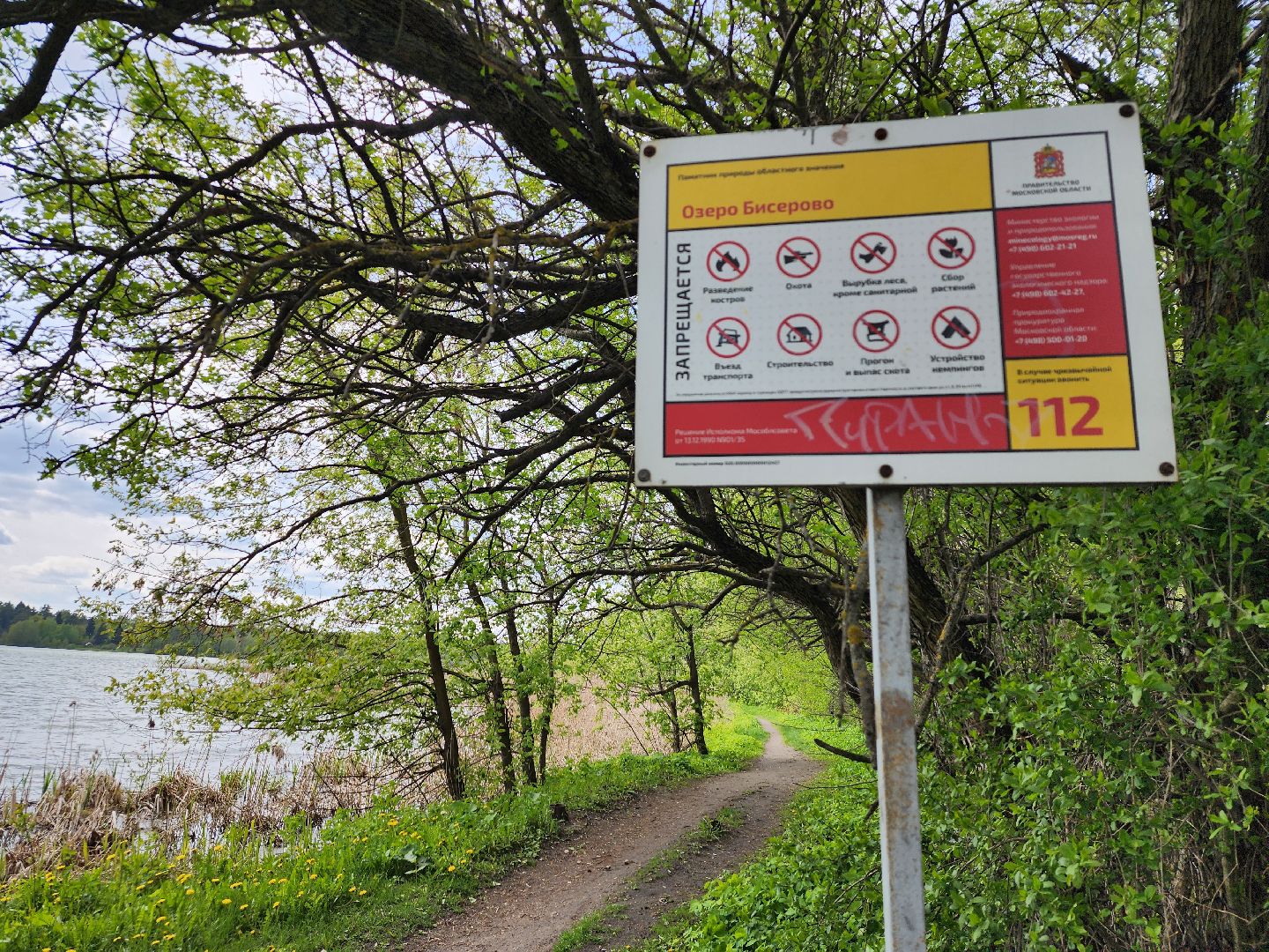 пикниковые зоны, зоны отдыха, Добродел, Бисерово, Богородский городской округ,