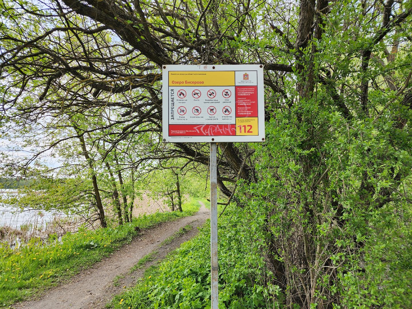 пикниковые зоны, зоны отдыха, Добродел, Бисерово, Богородский городской округ,