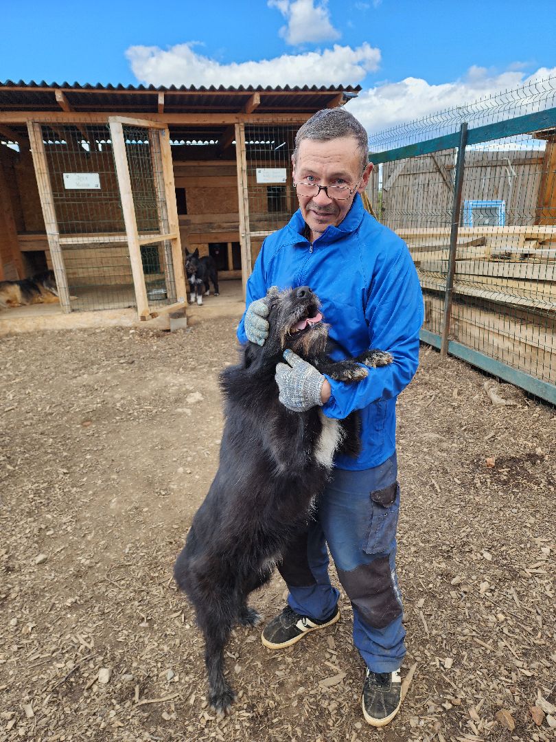 красногорск, приют для животных, лохматый ангел,