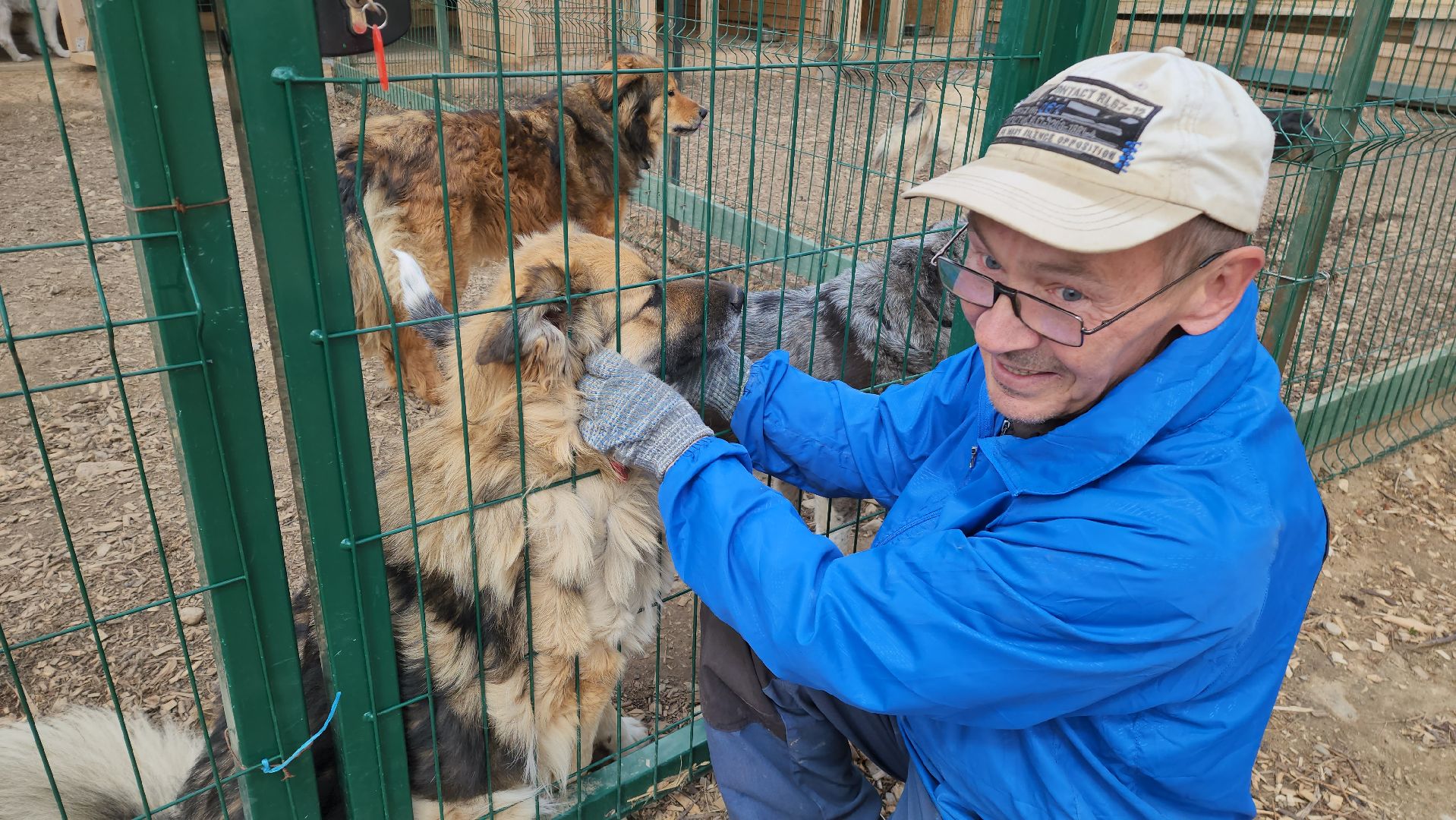 красногорск, приют для животных, лохматый ангел,