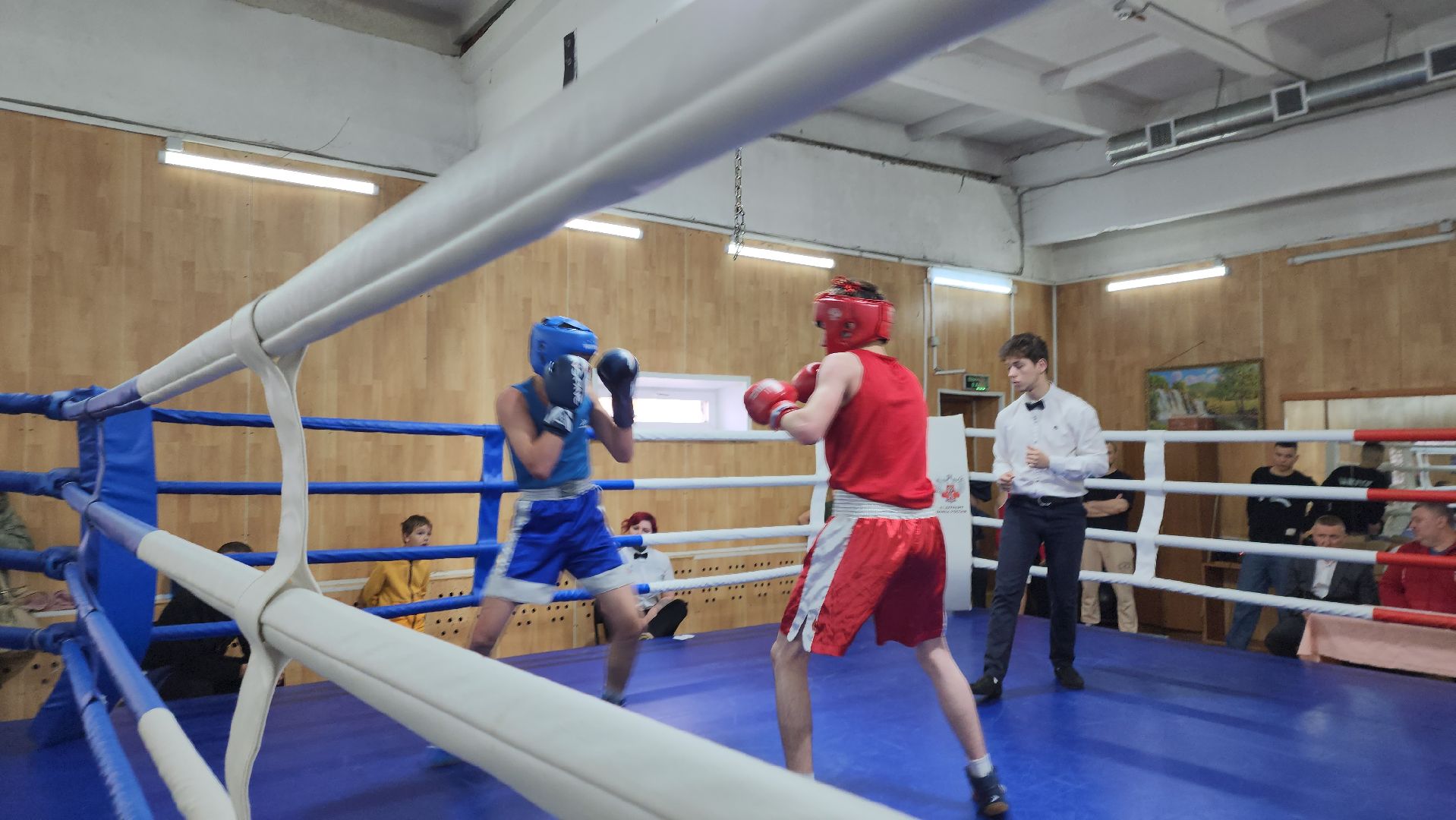 егорьевск, бокс, виктория, спорт, соревнования,