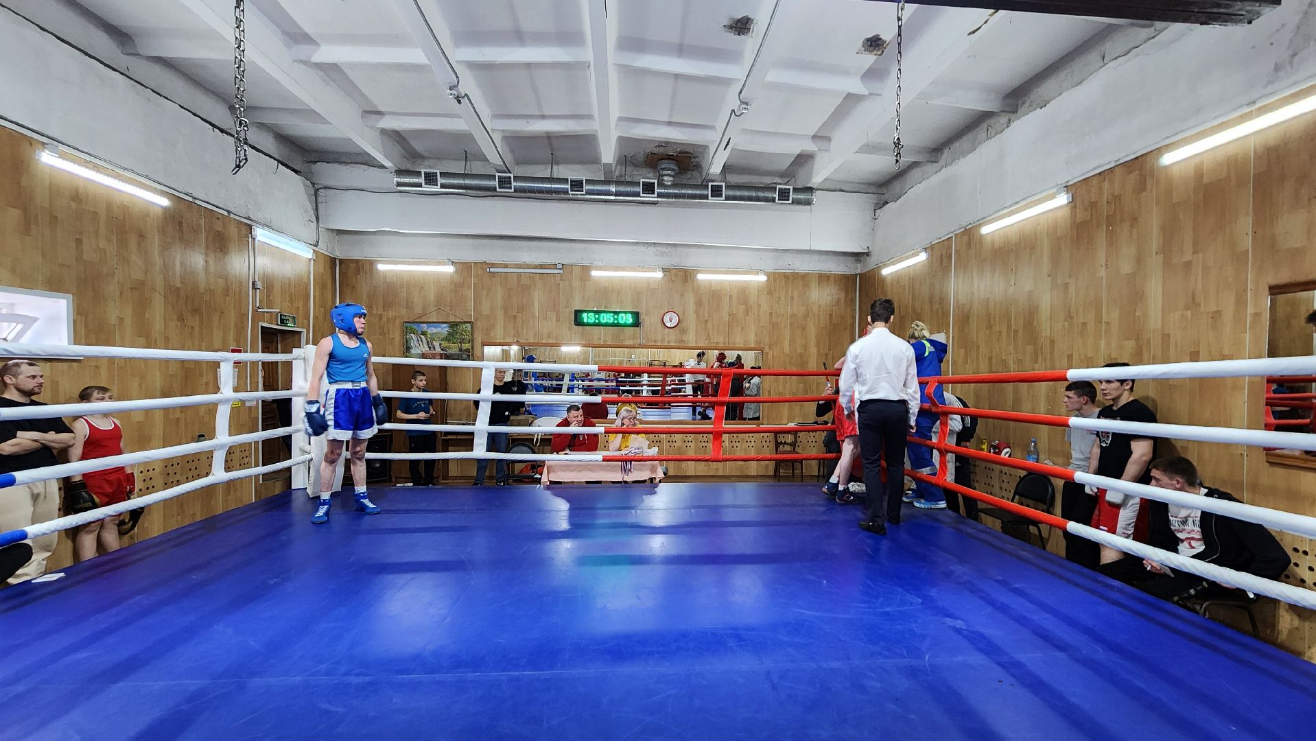 егорьевск, бокс, виктория, спорт, соревнования,
