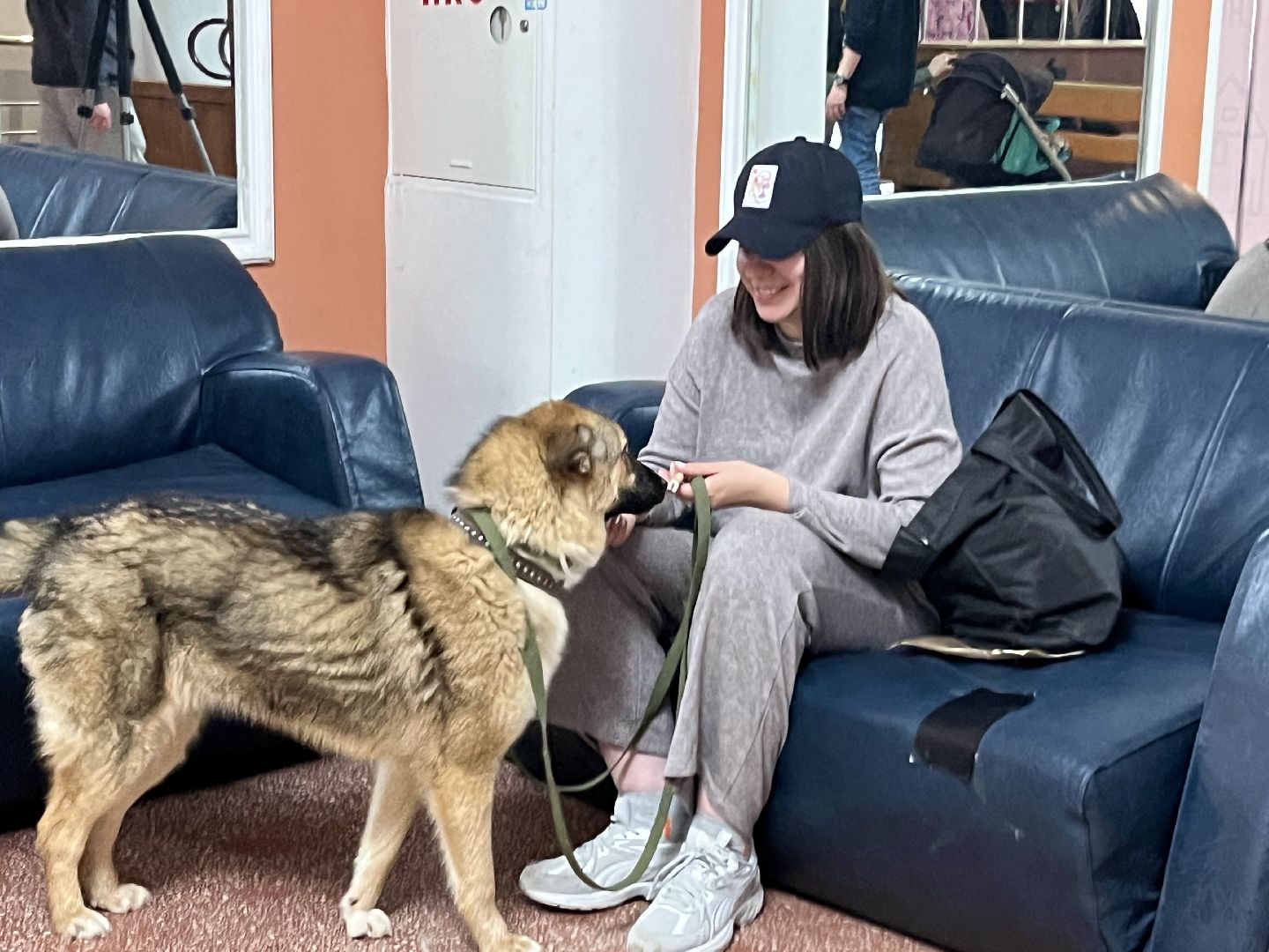 наро-фоминск,наро-фоминский городской округ, благотворительая акция, приют для животных, бездомные животные,