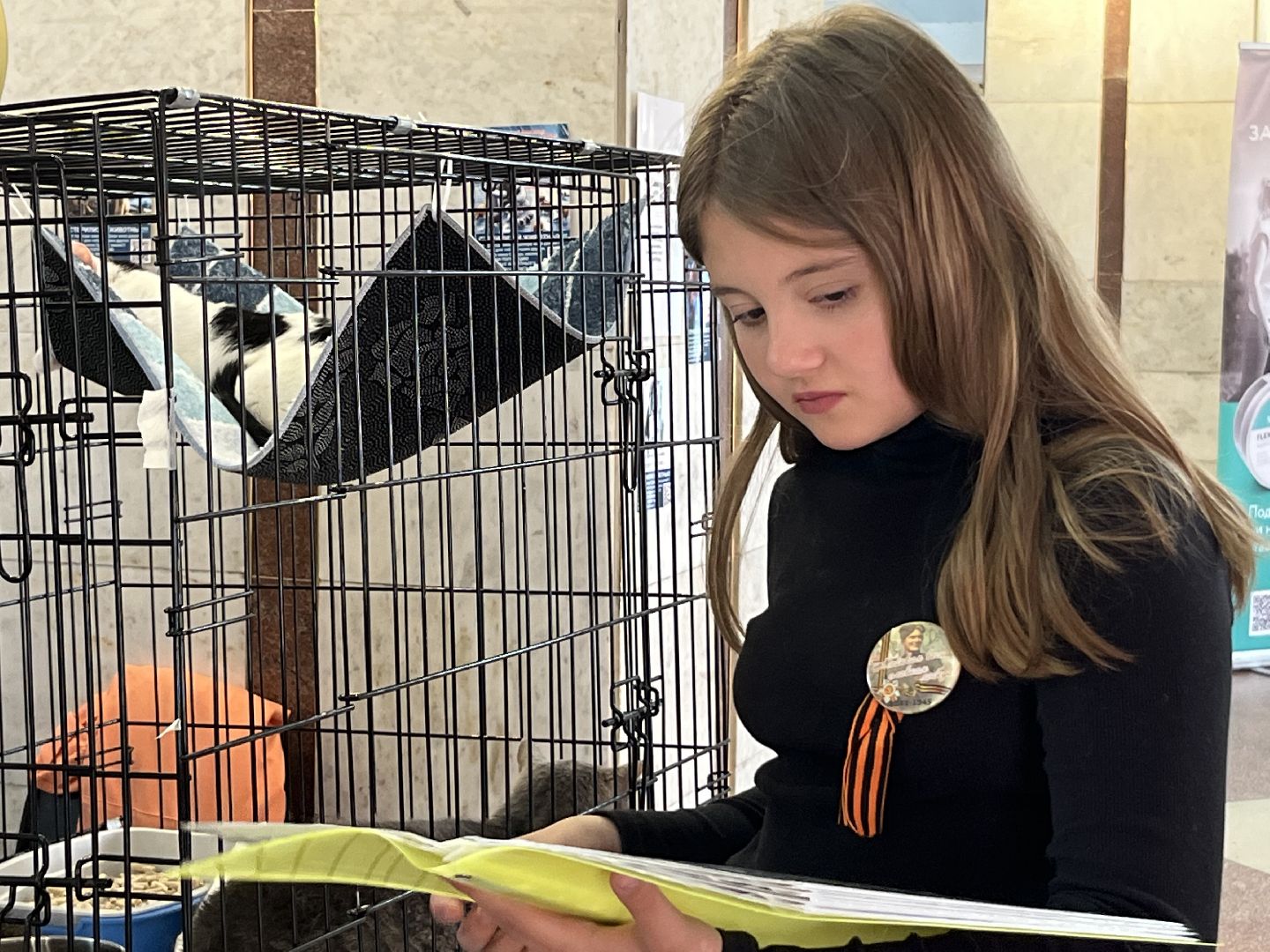 наро-фоминск,наро-фоминский городской округ, благотворительая акция, приют для животных, бездомные животные,