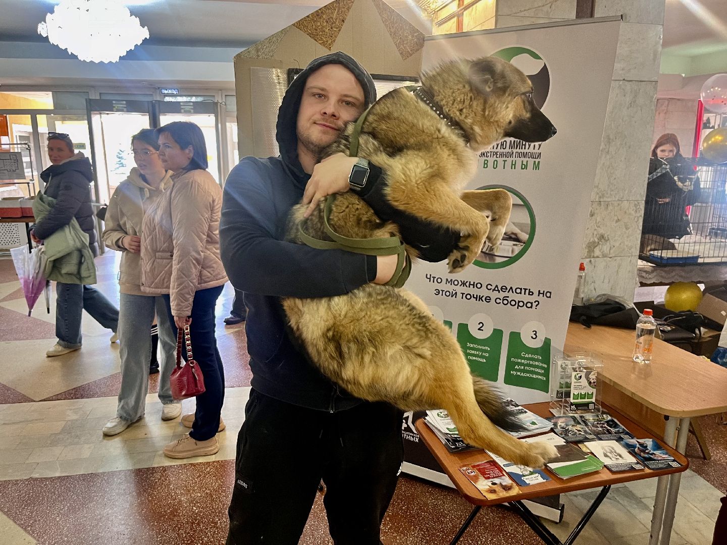 наро-фоминск,наро-фоминский городской округ, благотворительая акция, приют для животных, бездомные животные,