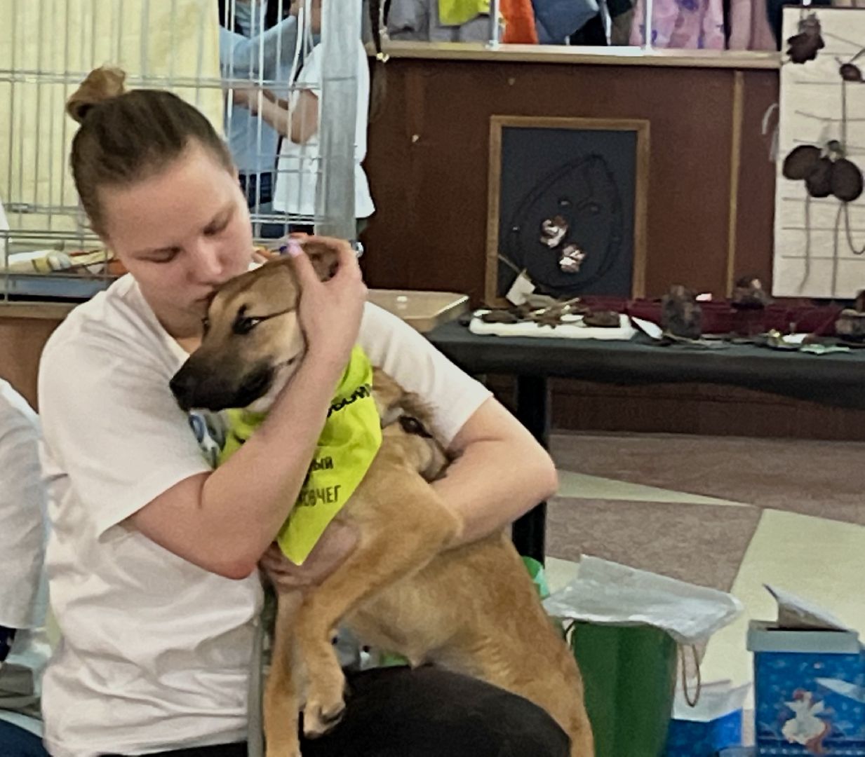 наро-фоминск,наро-фоминский городской округ, благотворительая акция, приют для животных, бездомные животные,
