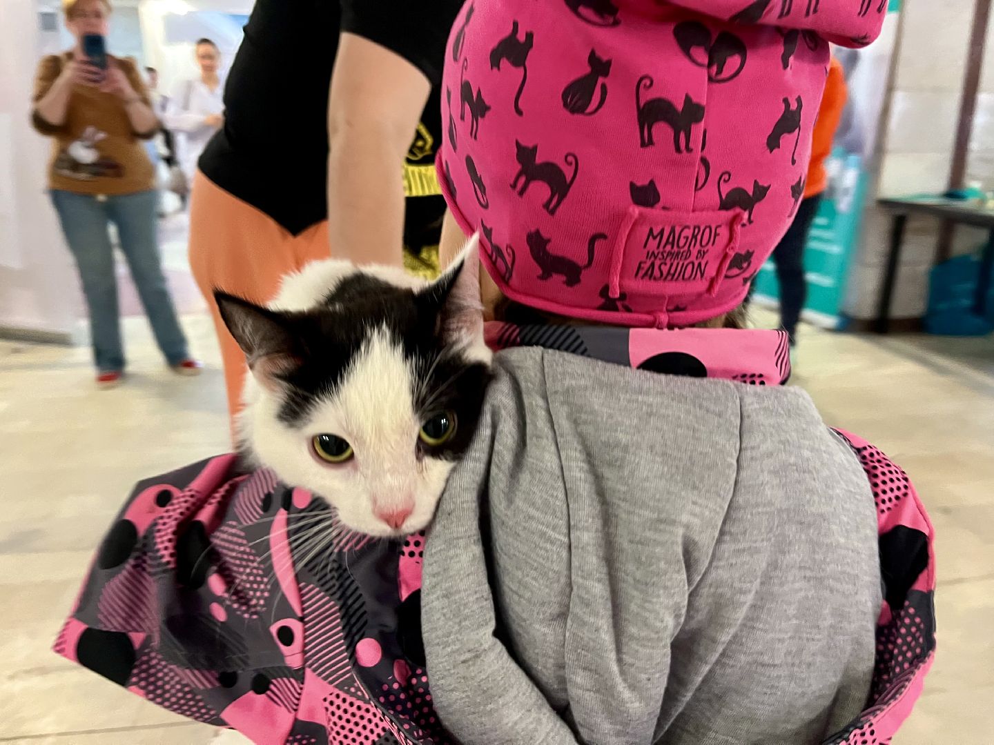 наро-фоминск,наро-фоминский городской округ, благотворительая акция, приют для животных, бездомные животные,