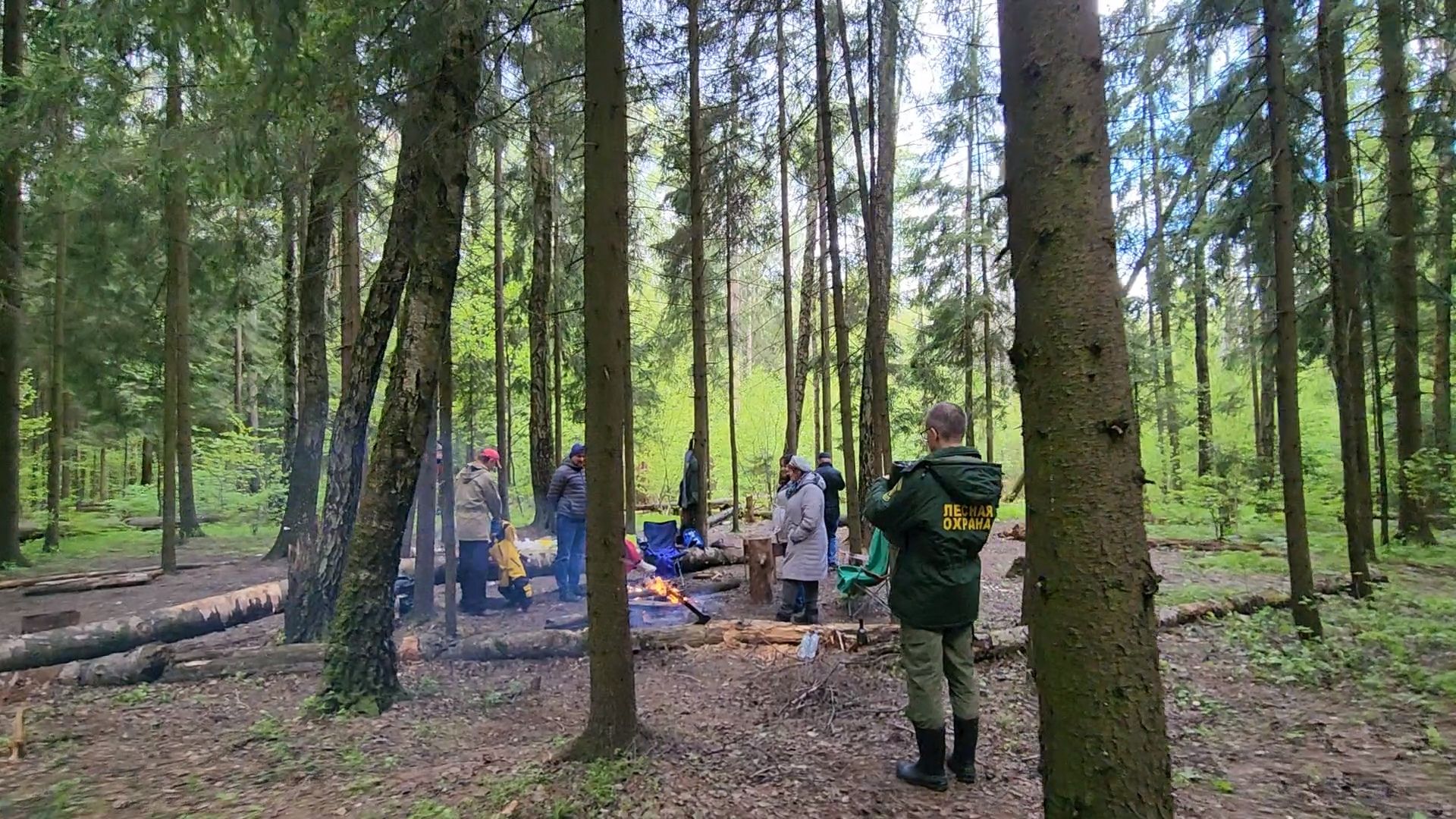одинцово, лесничество, противопожарный режим, парк, пожарная безопасность,