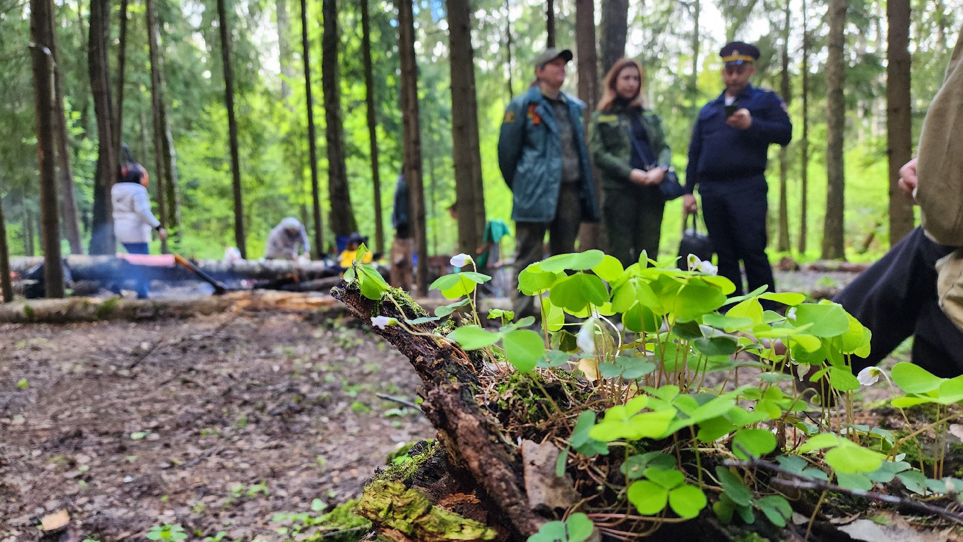 одинцово, лесничество, противопожарный режим, парк, пожарная безопасность,