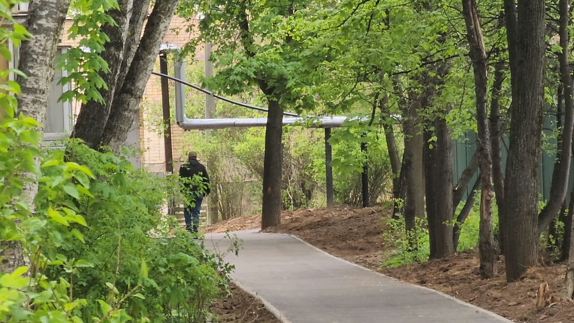 одинцово, голицыно, благоустройство, пешком, народная тропа,