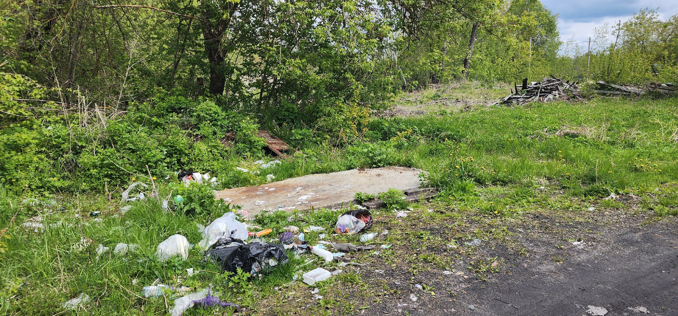 контейнерная площадка, благоустройство, Пустоши, Большая Шатура, черустинский сектор,