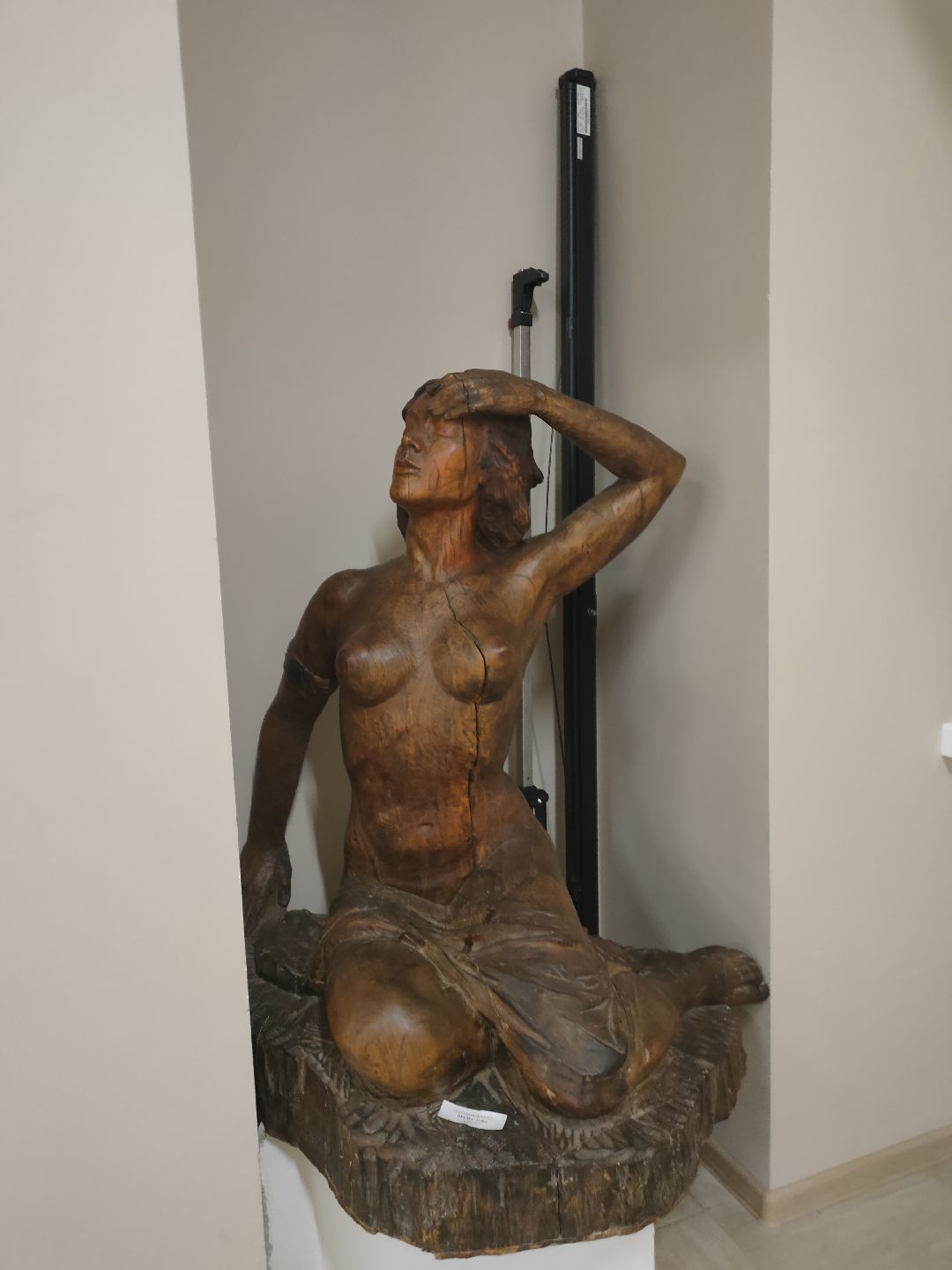 Раменское, общество