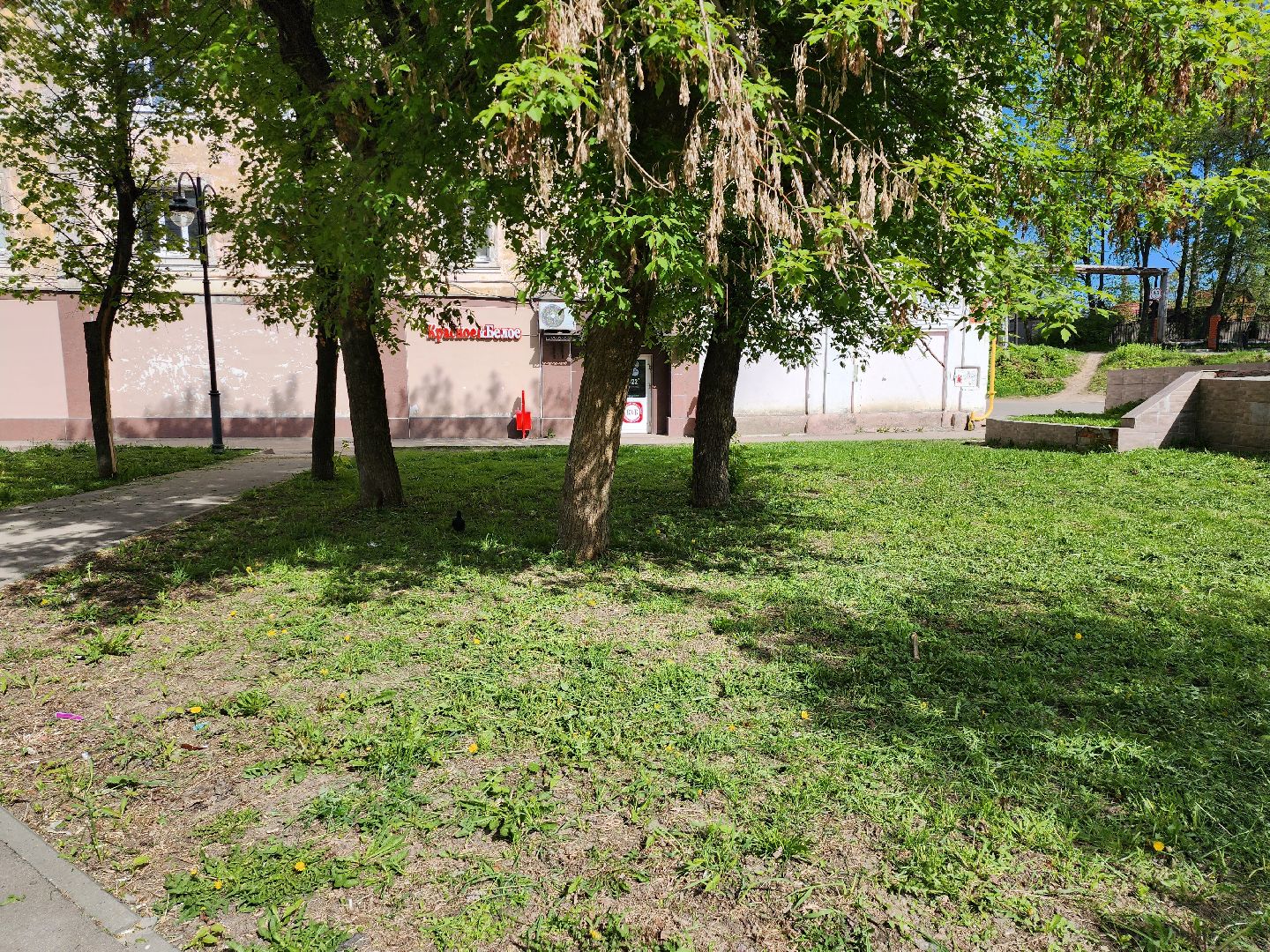 серпухов, подмосковье, благоустройство, покос травы,