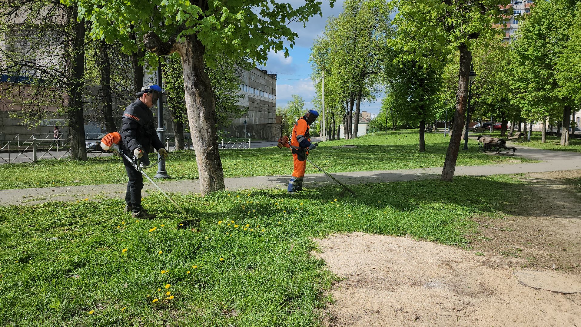 серпухов, подмосковье, благоустройство, покос травы,