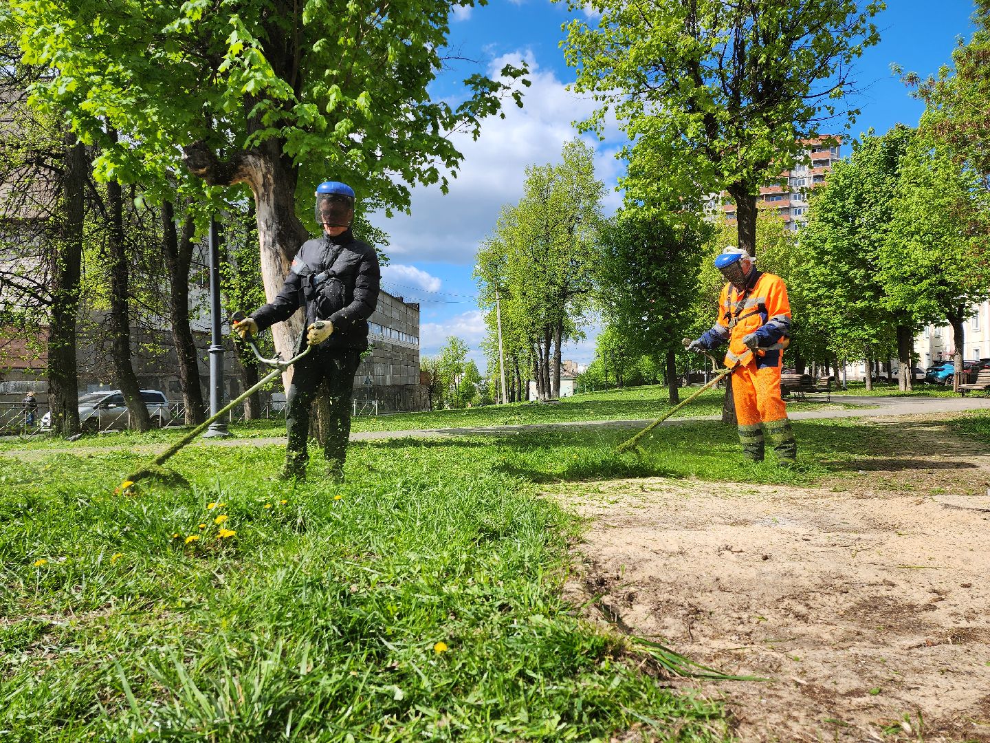 серпухов, подмосковье, благоустройство, покос травы,