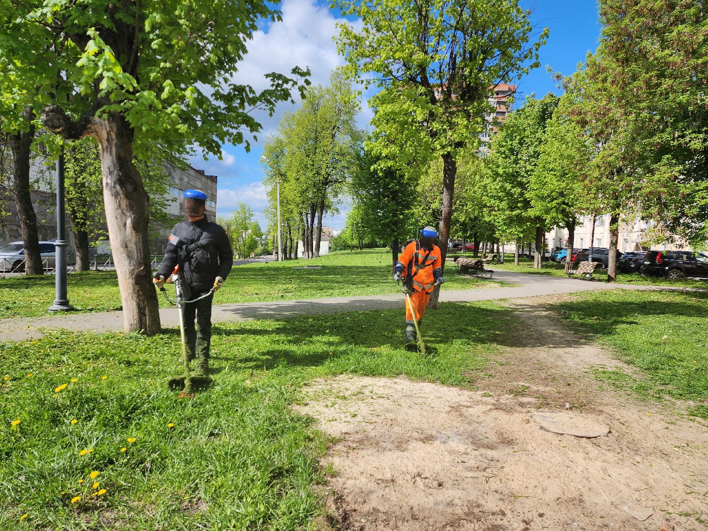 серпухов, подмосковье, благоустройство, покос травы,