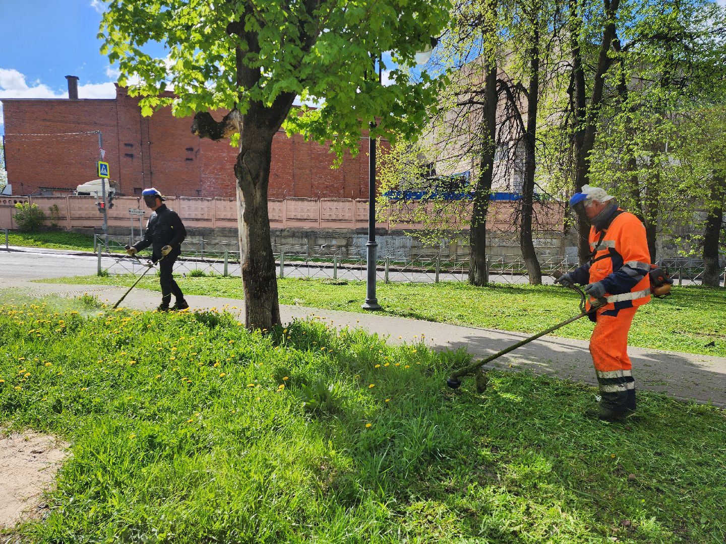 серпухов, подмосковье, благоустройство, покос травы,