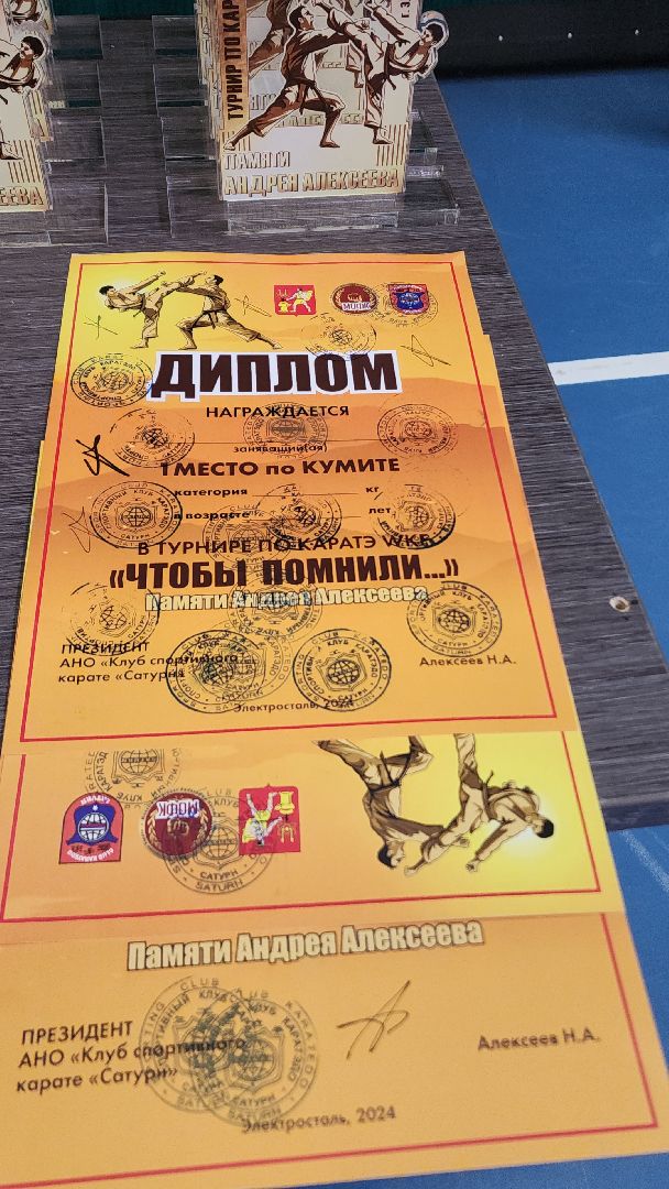 электросталь, электросталь спортивная, мой город, жители города, турнир, турнир по карате, турнир памяти, каратэ, каратэ-до,